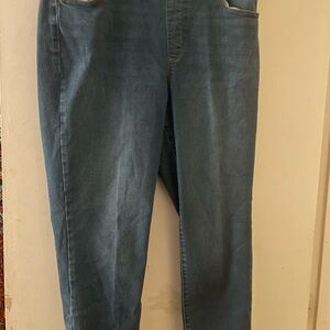 Gloria Vanderbilt Blue Denim Jeans